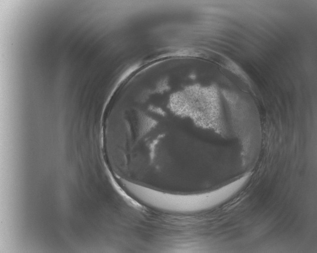 X0000063501095200602032011