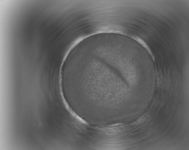 X0000063501096200602032011