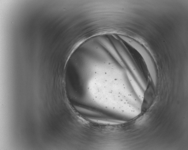 X0000063501097200602032011