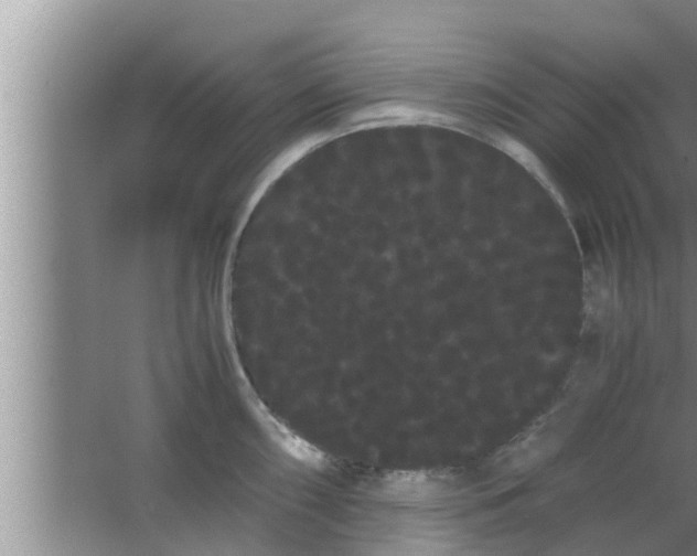 X0000063501098200602032011