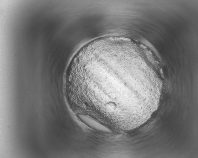 X0000063501099200602032011