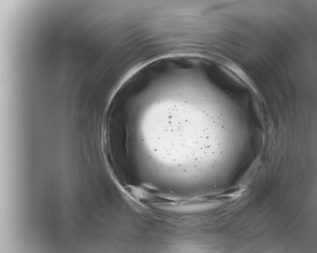 X0000063501101200602032011