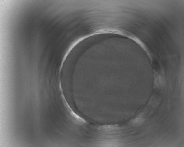 X0000063501102200602032011