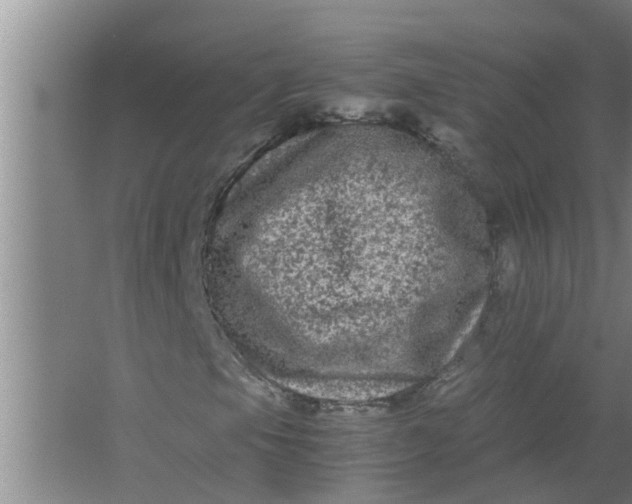 X0000063501105200602032010