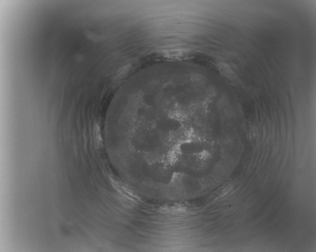 X0000063501106200602032010