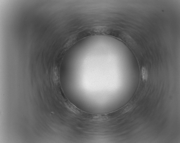 X0000063501107200602032010