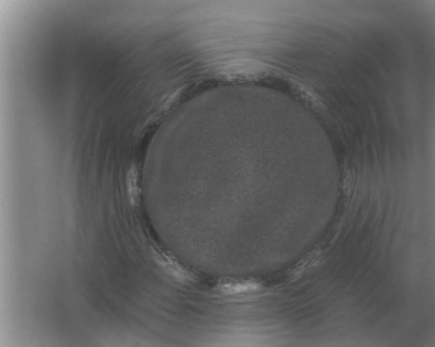 X0000063501108200602032010