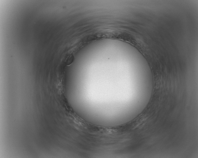 X0000063501109200602032010