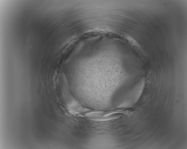 X0000063501110200602032010