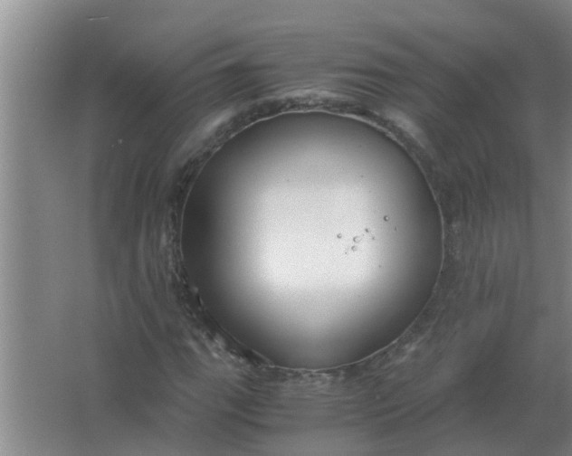 X0000063501111200602032010