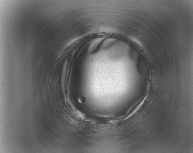 X0000063501112200602032010