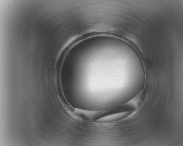 X0000063501114200602032010