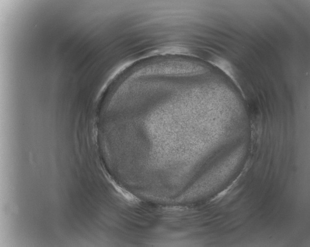 X0000063501115200602032010