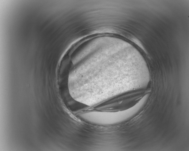 X0000063501116200602032010