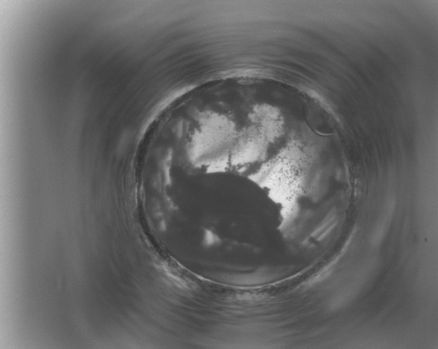 X0000063501117200602032010