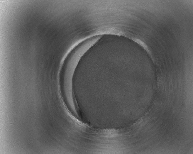 X0000063501120200602032010