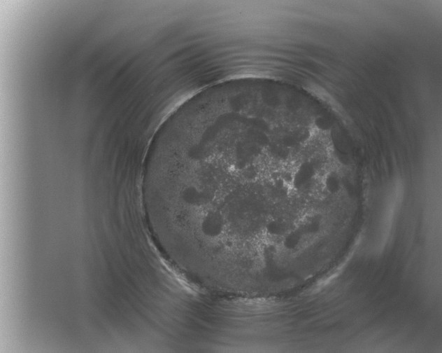 X0000063501121200602032010