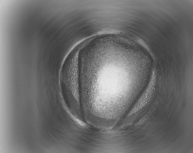 X0000063501124200602032010