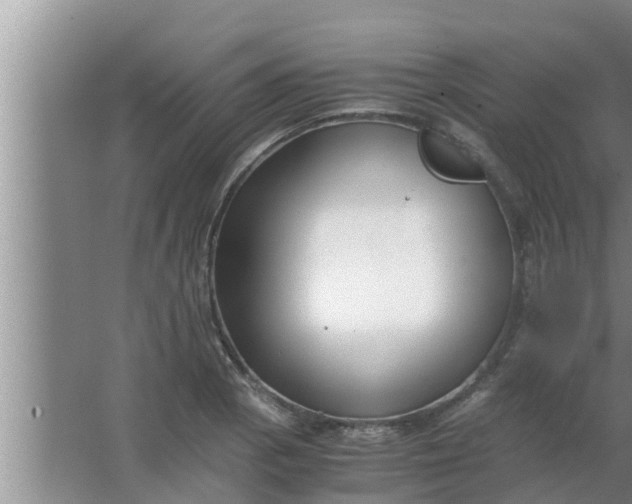 X0000063501129200602032010