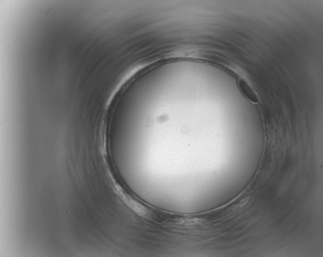 X0000063501131200602032010