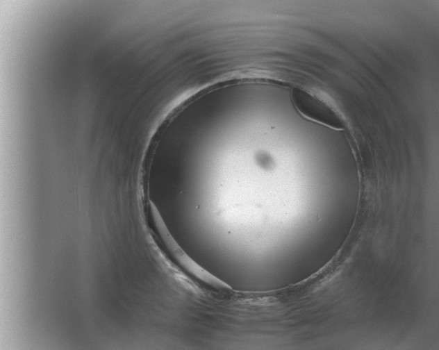 X0000063501133200602032010