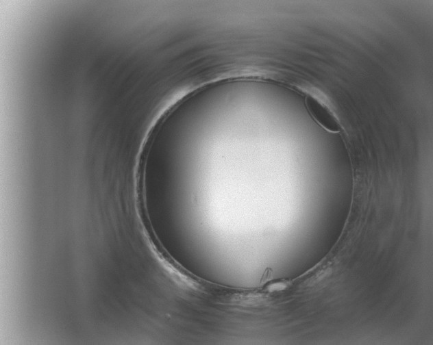 X0000063501135200602032010