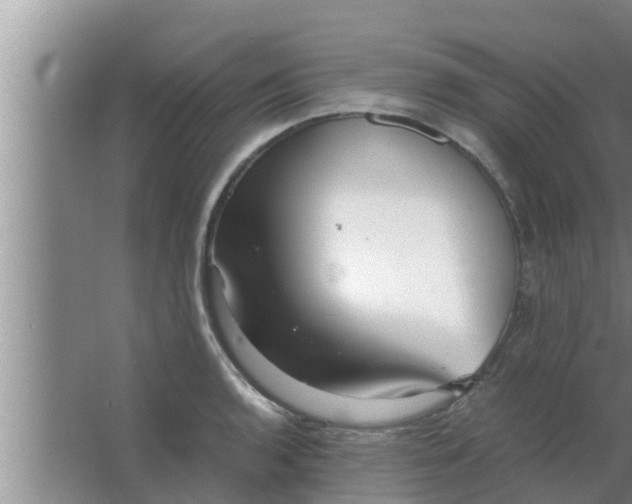 X0000063501136200602032010