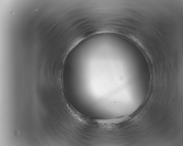 X0000063501137200602032011