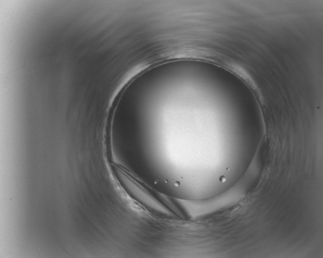 X0000063501138200602032011