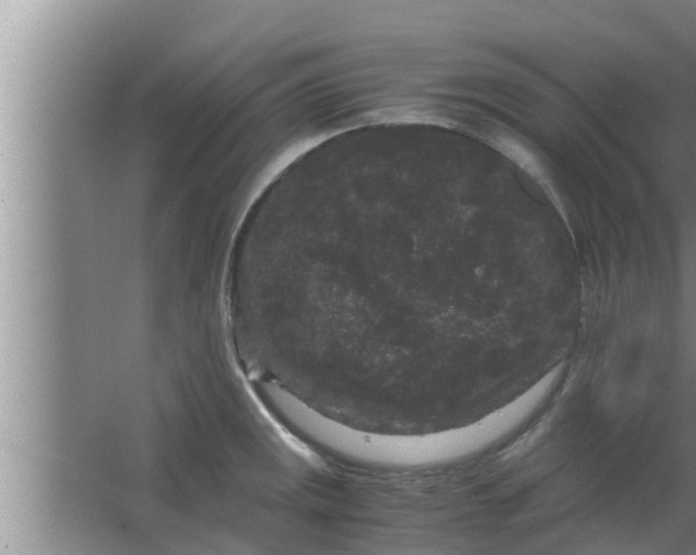 X0000063501141200602032011