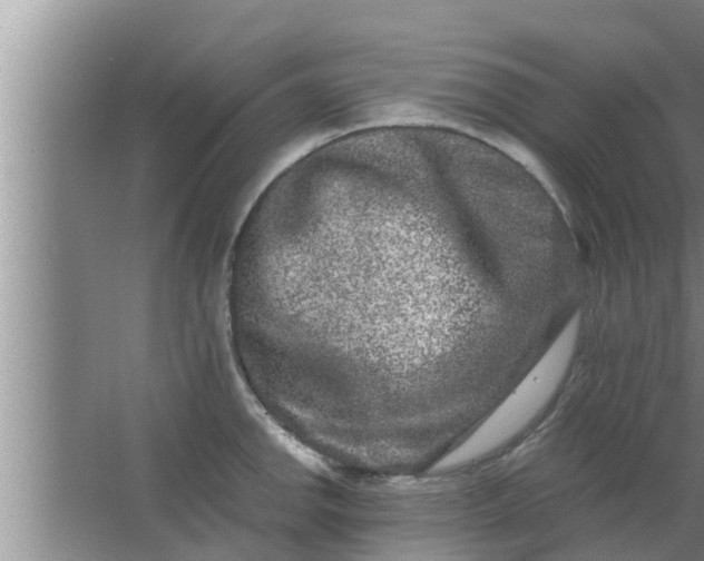 X0000063501142200602032011