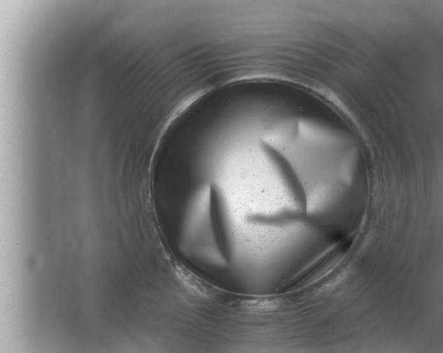 X0000063501145200602032011