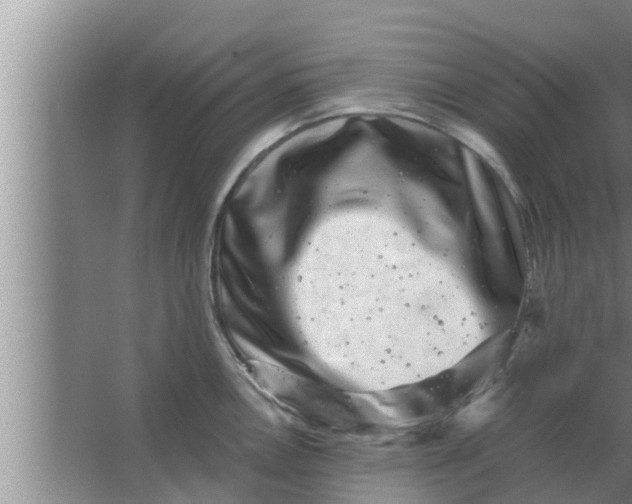 X0000063501146200602032011