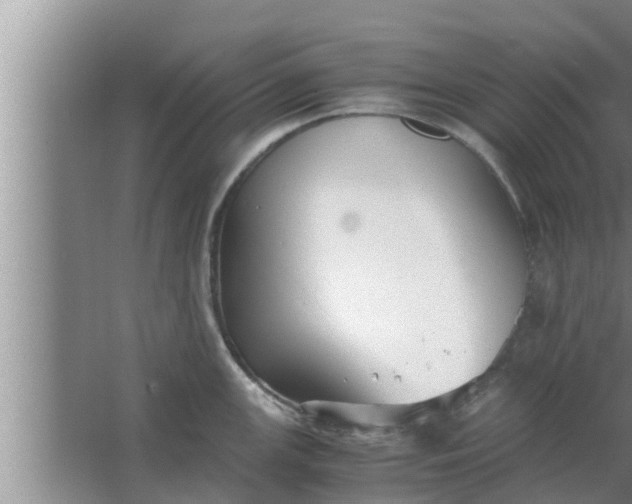 X0000063501147200602032011