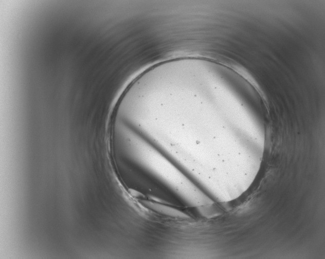 X0000063501148200602032011