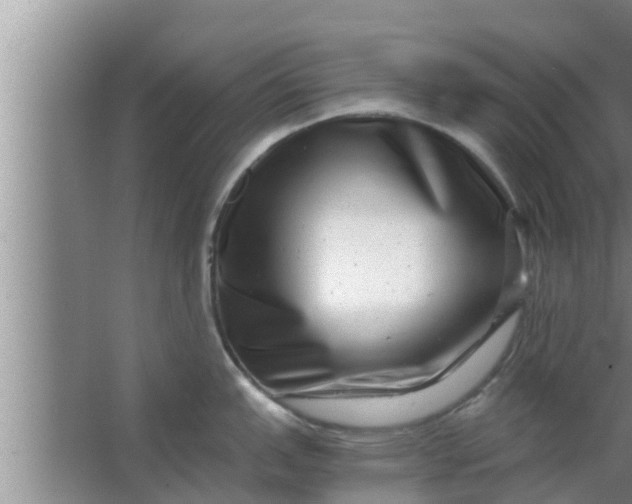 X0000063501151200602032011