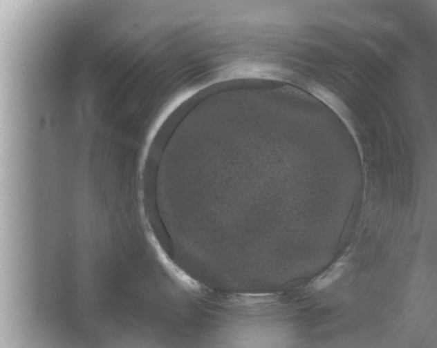 X0000063501152200602032011