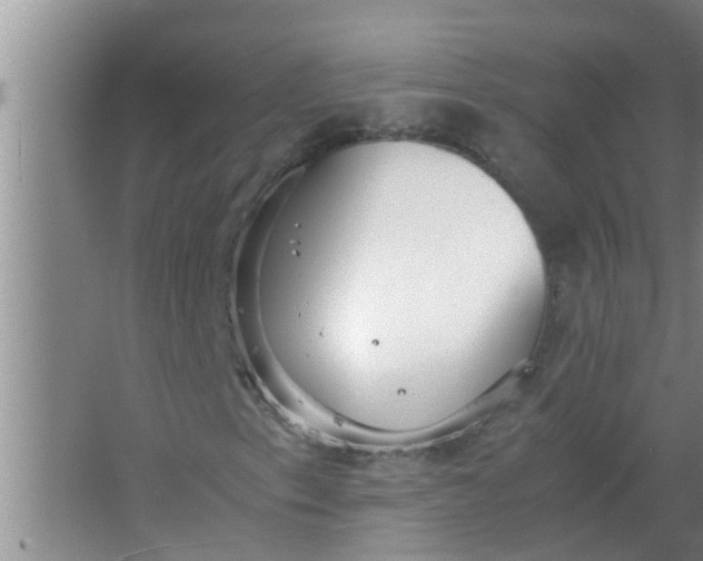 X0000063501153200602032010