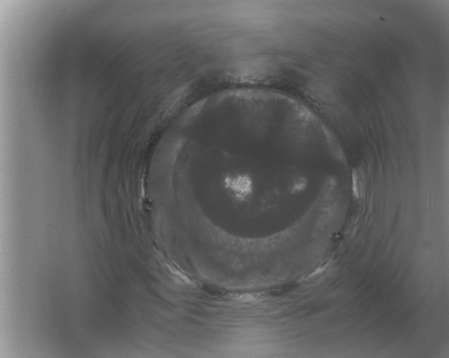 X0000063501155200602032010