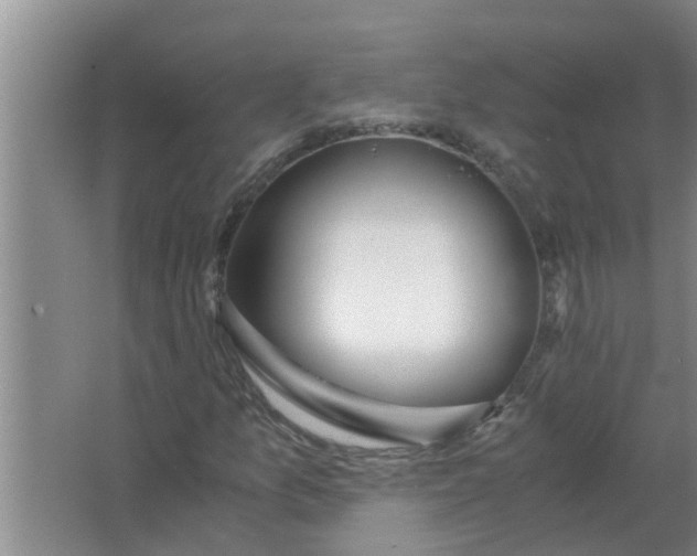 X0000063501157200602032010