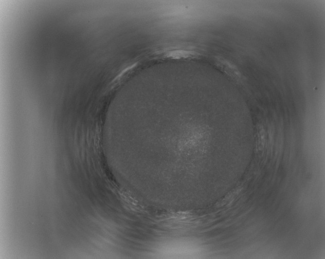 X0000063501158200602032010