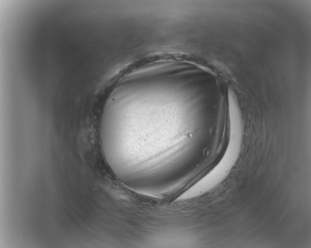 X0000063501159200602032010