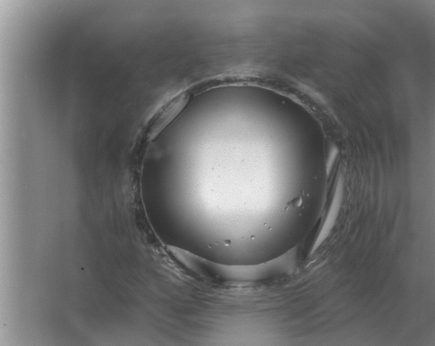 X0000063501160200602032010