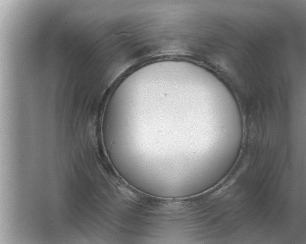 X0000063501162200602032010