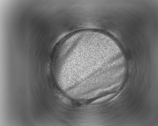 X0000063501163200602032010