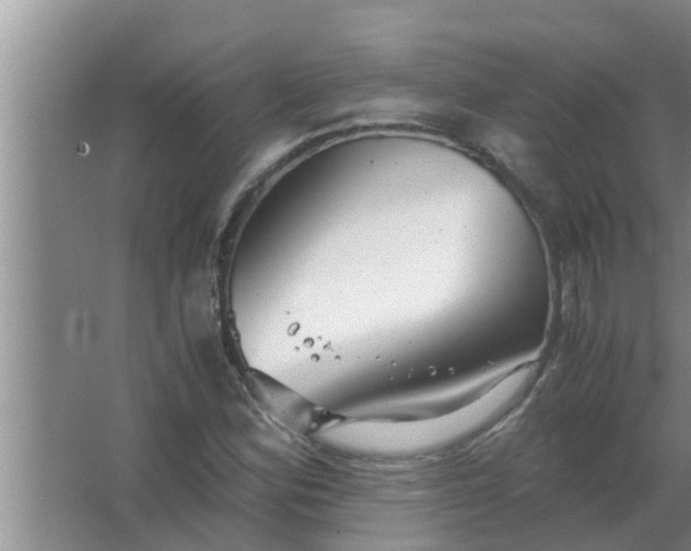 X0000063501164200602032010