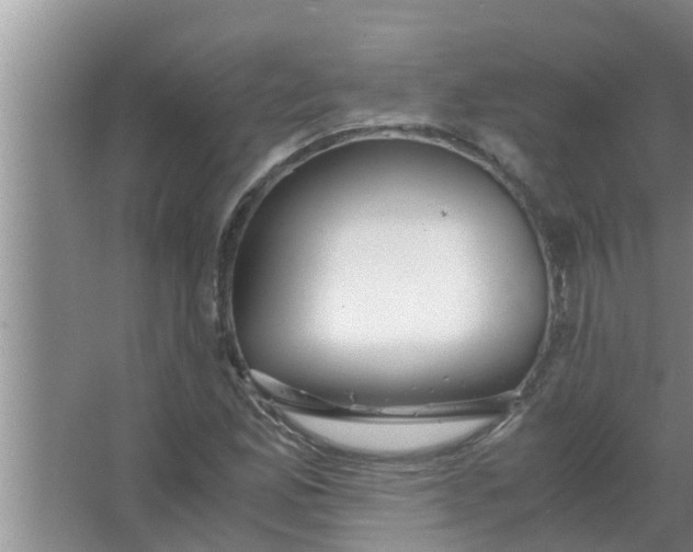 X0000063501165200602032010