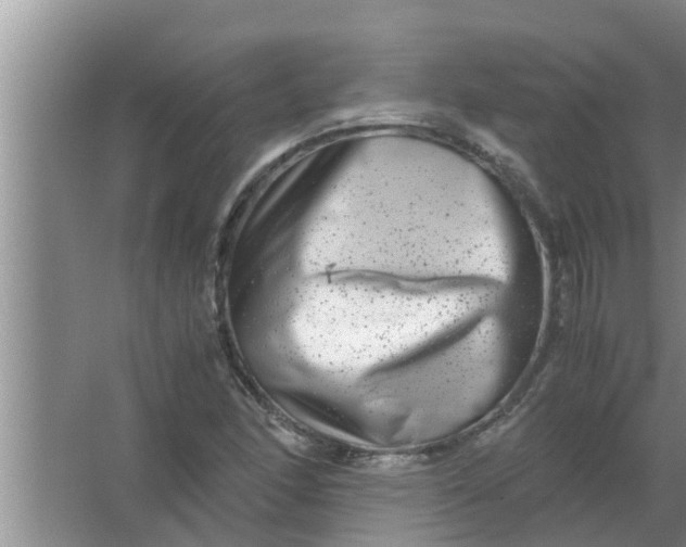 X0000063501166200602032010