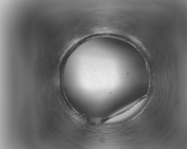 X0000063501167200602032010