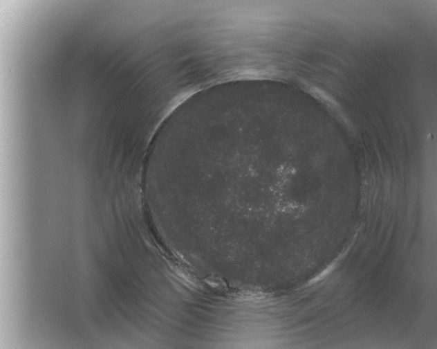 X0000063501170200602032010